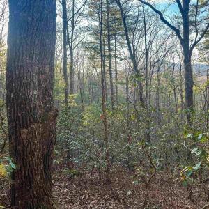 Photo #15 of 4358 DEERFIELD VALLEY RD, DEERFIELD, VA 21.5 acres
