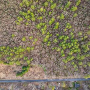 Photo #7 of 4358 DEERFIELD VALLEY RD, DEERFIELD, VA 21.5 acres