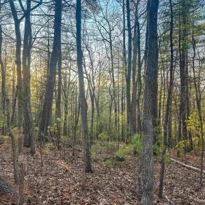 Photo #20 of 4358 DEERFIELD VALLEY RD, DEERFIELD, VA 21.5 acres