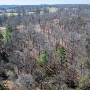 Photo #15 of NARROWS WAY, RUCKERSVILLE, VA 10.7 acres