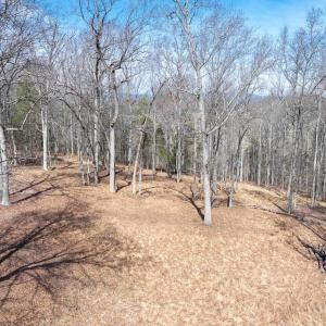 Photo #16 of NARROWS WAY, RUCKERSVILLE, VA 10.7 acres