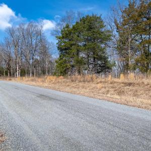 Photo #13 of NARROWS WAY, RUCKERSVILLE, VA 10.7 acres