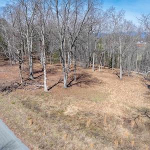 Photo #11 of NARROWS WAY, RUCKERSVILLE, VA 10.7 acres