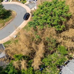 Photo #15 of 123 and 125 ROYS PL, CHARLOTTESVILLE, VA 0.1 acres