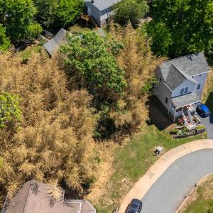 Photo #12 of 123 and 125 ROYS PL, CHARLOTTESVILLE, VA 0.1 acres