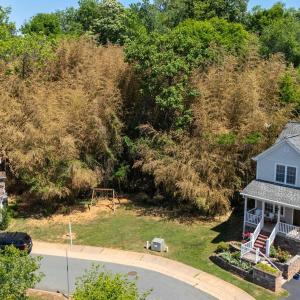 Photo #9 of 123 and 125 ROYS PL, CHARLOTTESVILLE, VA 0.1 acres