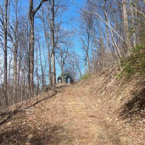 Photo #10 of 1215 BATTERY HILL LN, TYRO, VA 37.1 acres