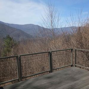 Photo #15 of 1215 BATTERY HILL LN, TYRO, VA 37.1 acres