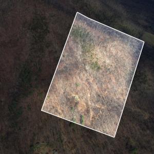 Photo #40 of 1215 BATTERY HILL LN, TYRO, VA 37.1 acres