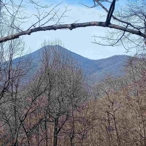 Photo #5 of 1215 BATTERY HILL LN, TYRO, VA 37.1 acres