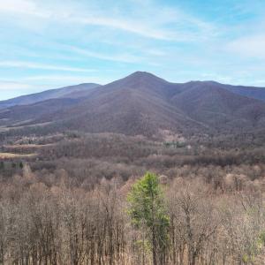 Photo #2 of 1215 BATTERY HILL LN, TYRO, VA 37.1 acres