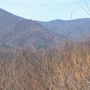 Photo #17 of 1215 BATTERY HILL LN, TYRO, VA 37.1 acres