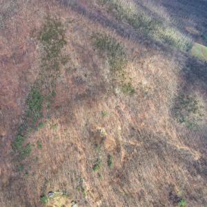 Photo #41 of 1215 BATTERY HILL LN, TYRO, VA 37.1 acres