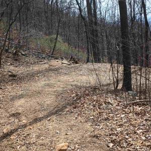 Photo #38 of 1215 BATTERY HILL LN, TYRO, VA 37.1 acres