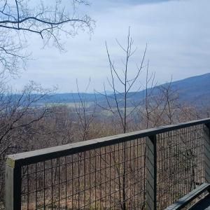 Photo #13 of 1215 BATTERY HILL LN, TYRO, VA 37.1 acres