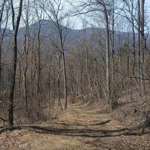 Photo #8 of 1215 BATTERY HILL LN, TYRO, VA 37.1 acres