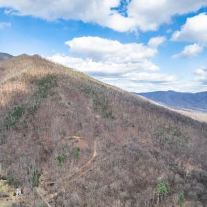 Photo #43 of 1215 BATTERY HILL LN, TYRO, VA 37.1 acres