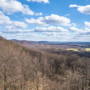 Photo #3 of 1215 BATTERY HILL LN, TYRO, VA 37.1 acres