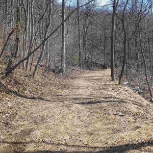 Photo #6 of 1215 BATTERY HILL LN, TYRO, VA 37.1 acres