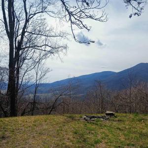 Photo #36 of 1215 BATTERY HILL LN, TYRO, VA 37.1 acres