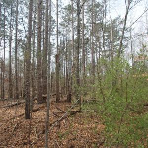Photo #4 of TBD SULPHUR MINE RD, CHARLOTTESVILLE, VA 1.7 acres