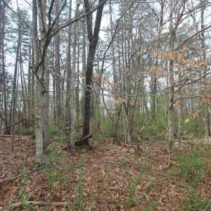 Photo #3 of TBD SULPHUR MINE RD, CHARLOTTESVILLE, VA 1.7 acres