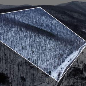 Photo #2 of TBD CUBBAGE HOLLOW RD, STANLEY, VA 40.6 acres