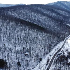 Photo #24 of TBD CUBBAGE HOLLOW RD, STANLEY, VA 40.6 acres