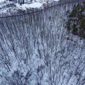 Photo #7 of TBD CUBBAGE HOLLOW RD, STANLEY, VA 40.6 acres