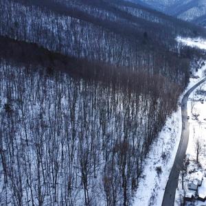 Photo #25 of TBD CUBBAGE HOLLOW RD, STANLEY, VA 40.6 acres