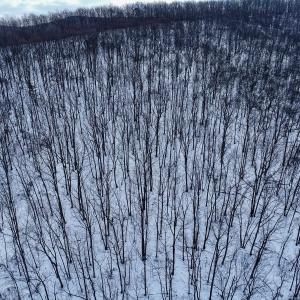 Photo #12 of TBD CUBBAGE HOLLOW RD, STANLEY, VA 40.6 acres