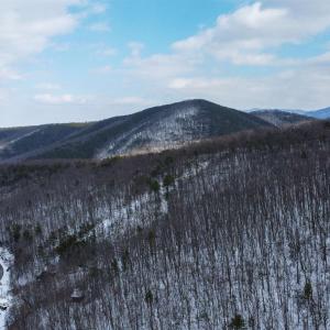 Photo #14 of TBD CUBBAGE HOLLOW RD, STANLEY, VA 40.6 acres