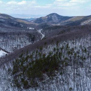 Photo #3 of TBD CUBBAGE HOLLOW RD, STANLEY, VA 40.6 acres