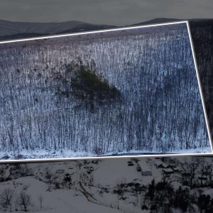 Photo #4 of TBD CUBBAGE HOLLOW RD, STANLEY, VA 40.6 acres