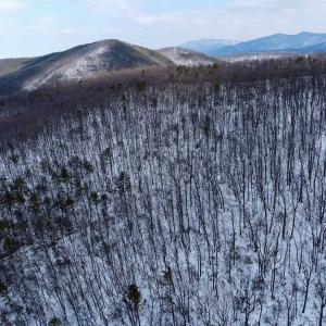 Photo #6 of TBD CUBBAGE HOLLOW RD, STANLEY, VA 40.6 acres