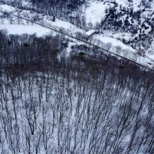 Photo #17 of TBD CUBBAGE HOLLOW RD, STANLEY, VA 40.6 acres