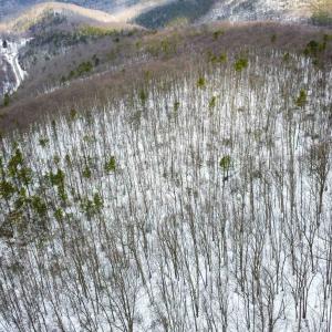 Photo #15 of TBD CUBBAGE HOLLOW RD, STANLEY, VA 40.6 acres