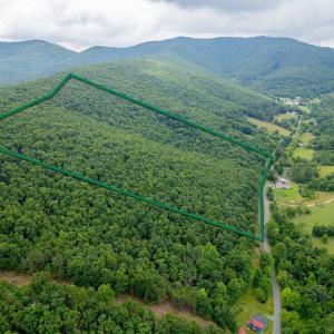 Photo #2 of TBD CUBBAGE HOLLOW RD, STANLEY, VA 40.6 acres