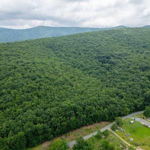 Photo #9 of TBD CUBBAGE HOLLOW RD, STANLEY, VA 40.6 acres