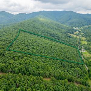 Photo #4 of TBD CUBBAGE HOLLOW RD, STANLEY, VA 40.6 acres