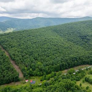 Photo #11 of TBD CUBBAGE HOLLOW RD, STANLEY, VA 40.6 acres