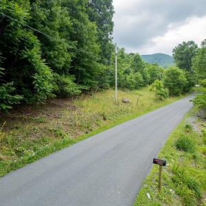 Photo #12 of TBD CUBBAGE HOLLOW RD, STANLEY, VA 40.6 acres