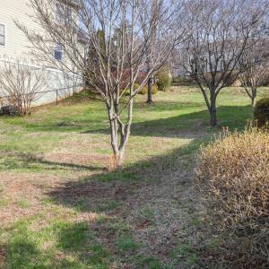 Photo #4 of 712 PALATINE AVE, CHARLOTTESVILLE, VA 0.2 acres