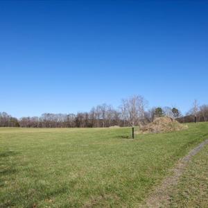 Photo #17 of TBD TADPOLE LN, GREENVILLE, VA 8.5 acres