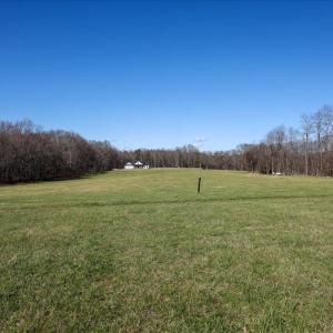 Photo #21 of TBD TADPOLE LN, GREENVILLE, VA 8.5 acres