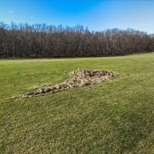 Photo #9 of TBD TADPOLE LN, GREENVILLE, VA 8.5 acres