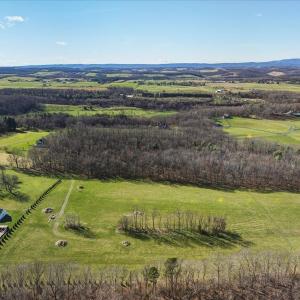 Photo #4 of TBD TADPOLE LN, GREENVILLE, VA 8.5 acres