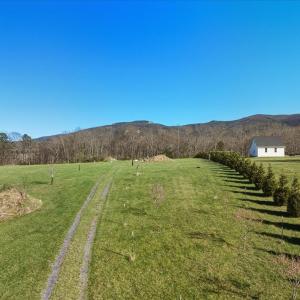 Photo #14 of TBD TADPOLE LN, GREENVILLE, VA 8.5 acres