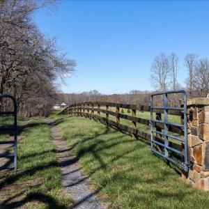 Photo #24 of TBD TADPOLE LN, GREENVILLE, VA 8.5 acres