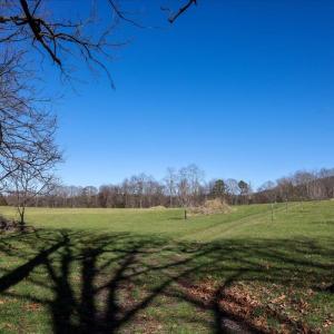 Photo #15 of TBD TADPOLE LN, GREENVILLE, VA 8.5 acres